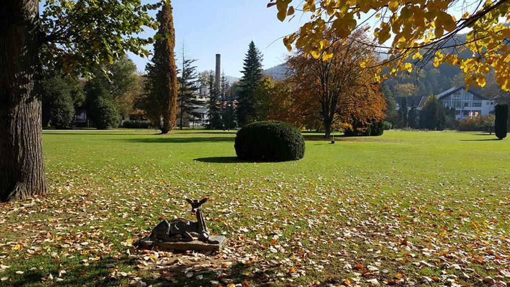 Hotel Royal Spa Banja Koviljača Eksteriør billede
