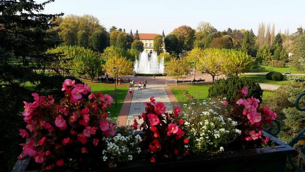 Hotel Royal Spa Banja Koviljača Eksteriør billede