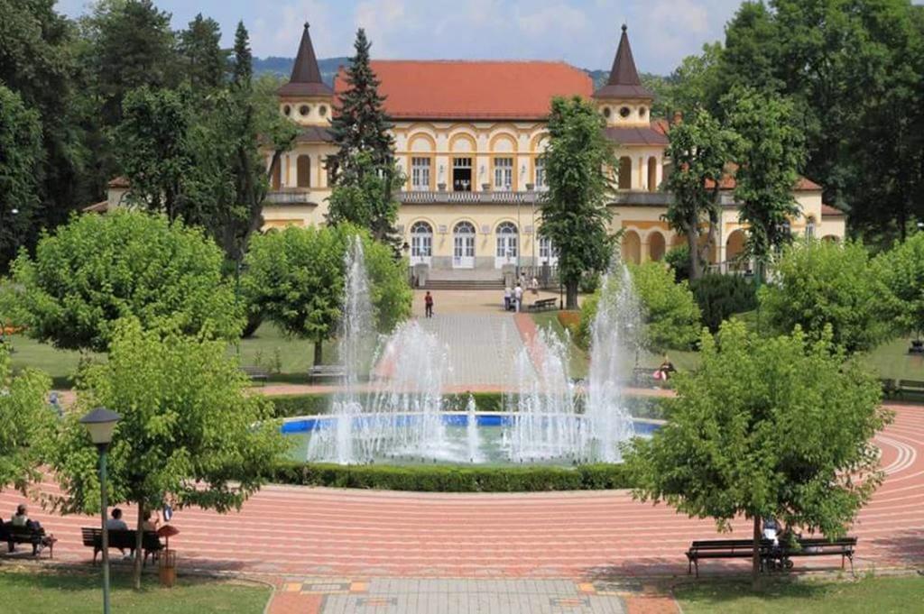 Hotel Royal Spa Banja Koviljača Eksteriør billede
